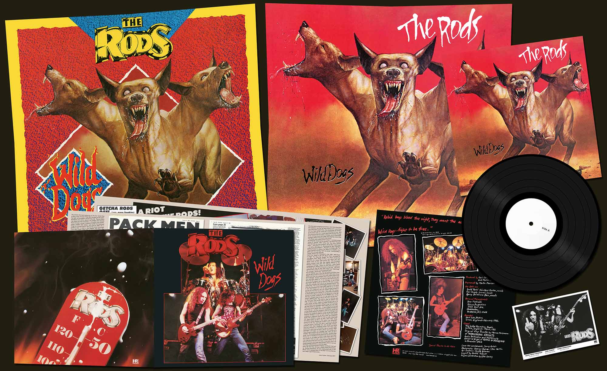 THE RODS - Wild Dogs  LP