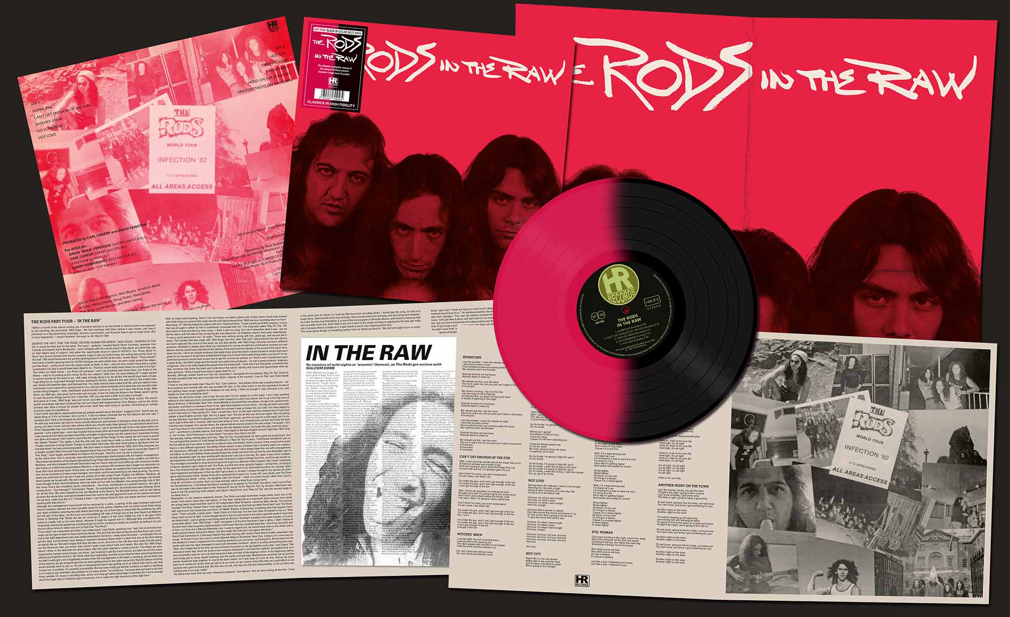 THE RODS - In the Raw  LP