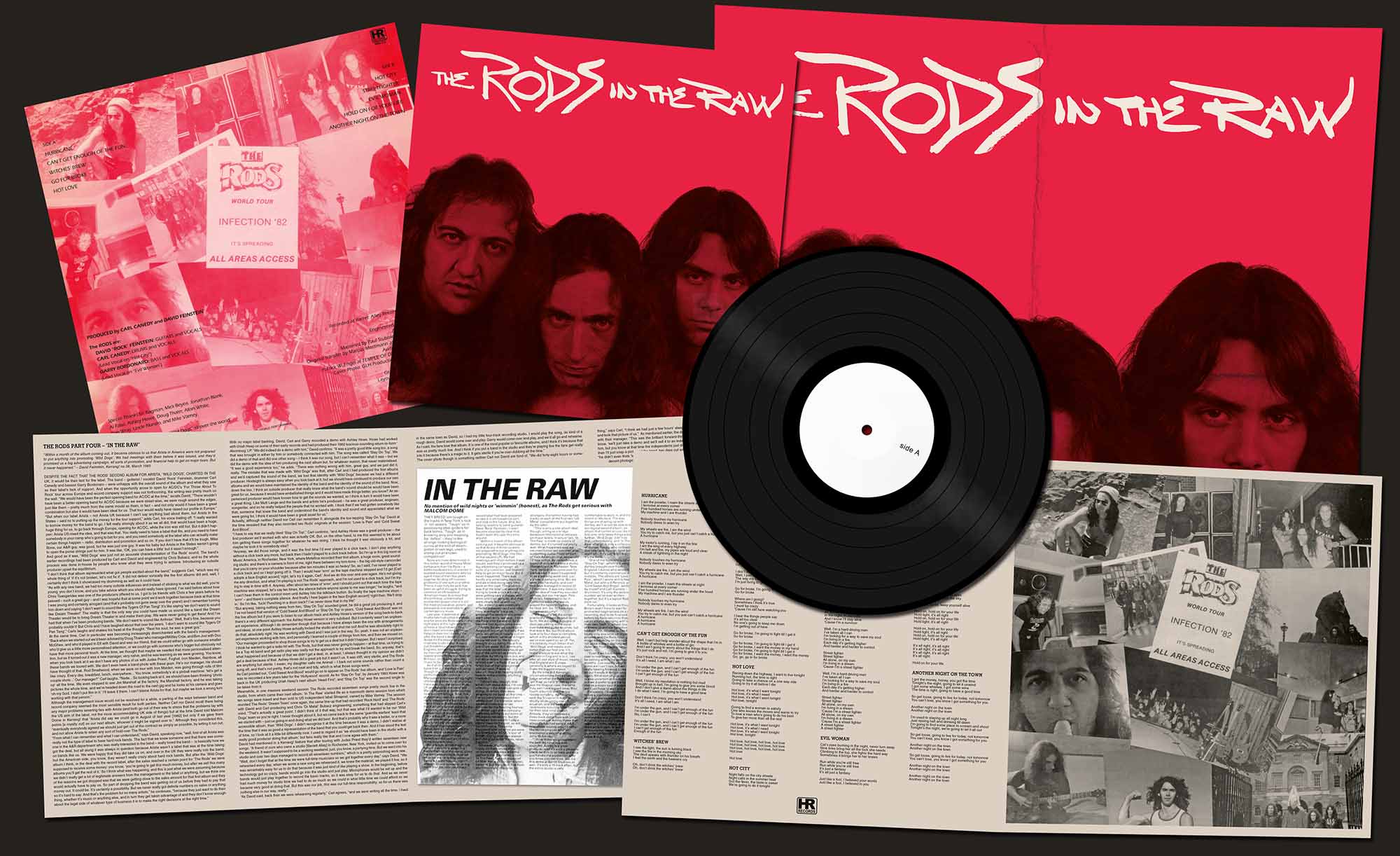 THE RODS - In the Raw  LP