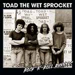 TOAD THE WET SPROCKET - Rock 'n' Roll Runners  CD