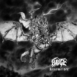 BADGE - Stormrider  LP